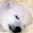 @conscience7094