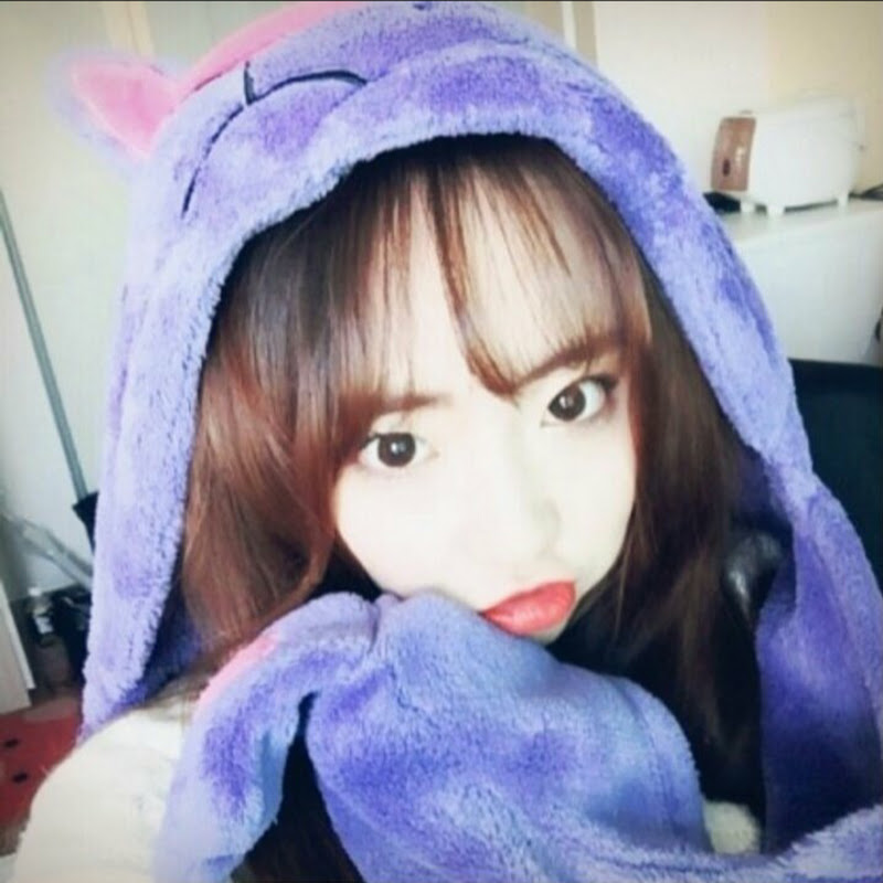 tv팬더