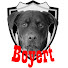 ZWjC394WPGw-channel-avatar-Boyert