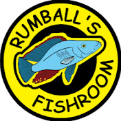 Rumballs Fishroom