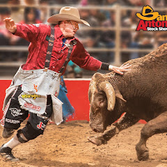 Cody Webster Professional Bullfighter net worth