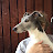 @martinalexander4777's avatar