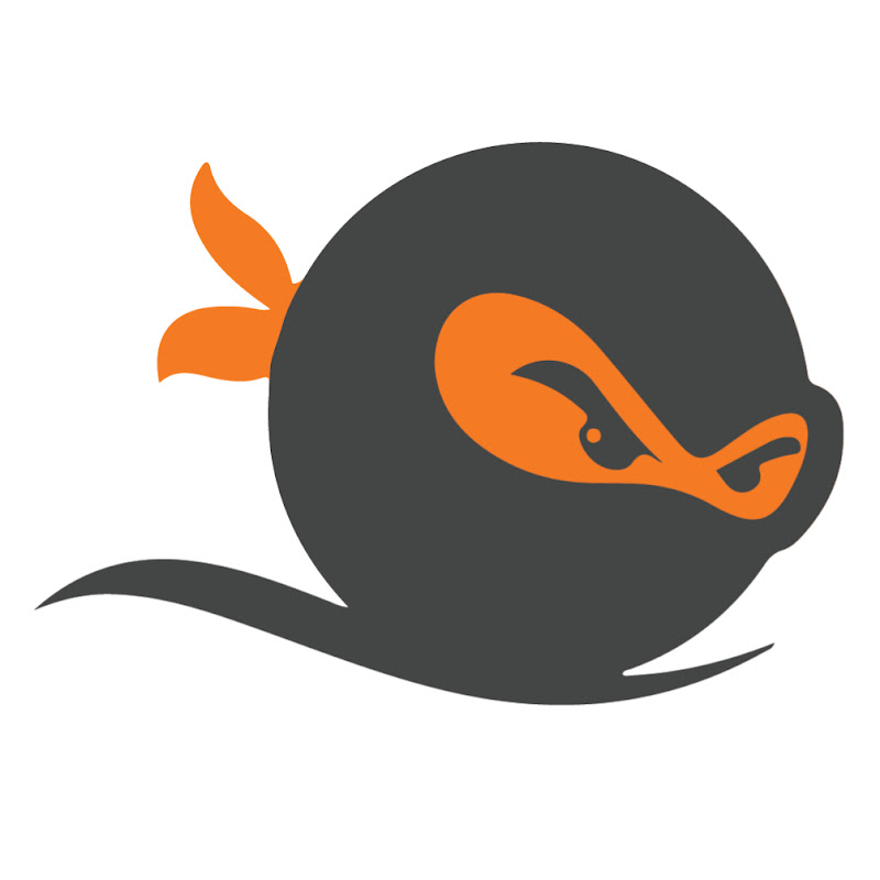 Selfmade Ninja Academy