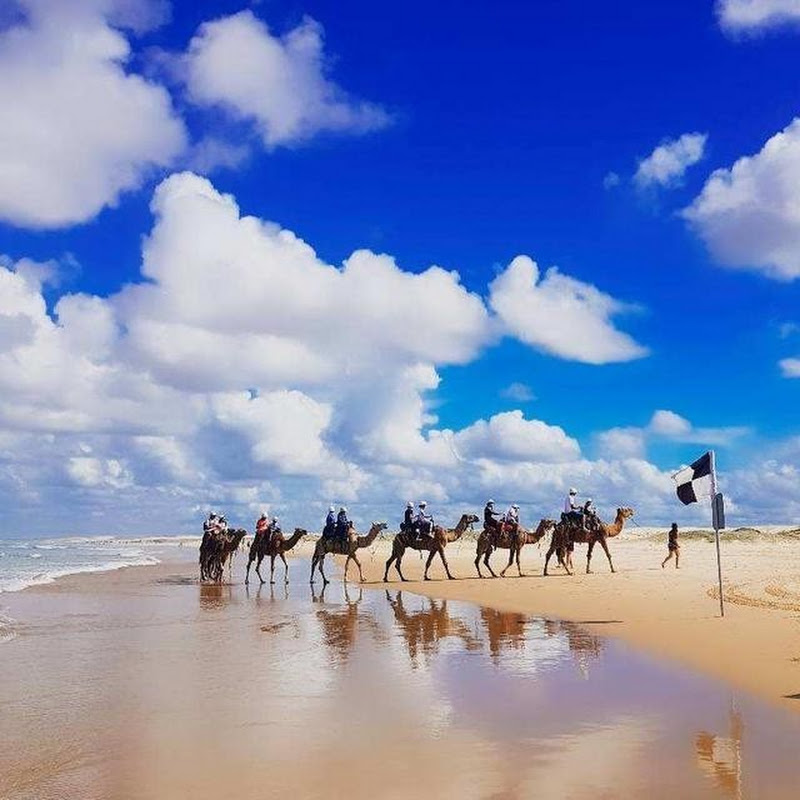 简单唠唠澳大利亚 Logo