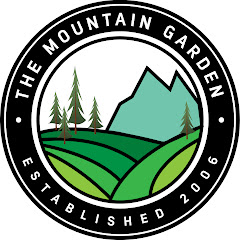 Thumbnail of related channel