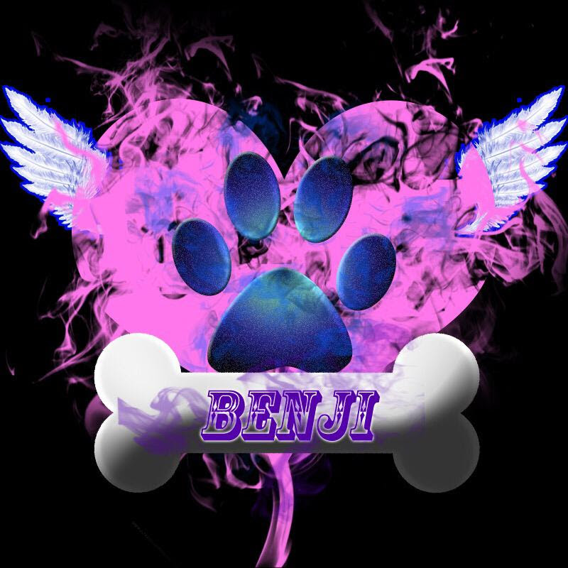 Benji React