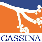 Cassina RealEstate