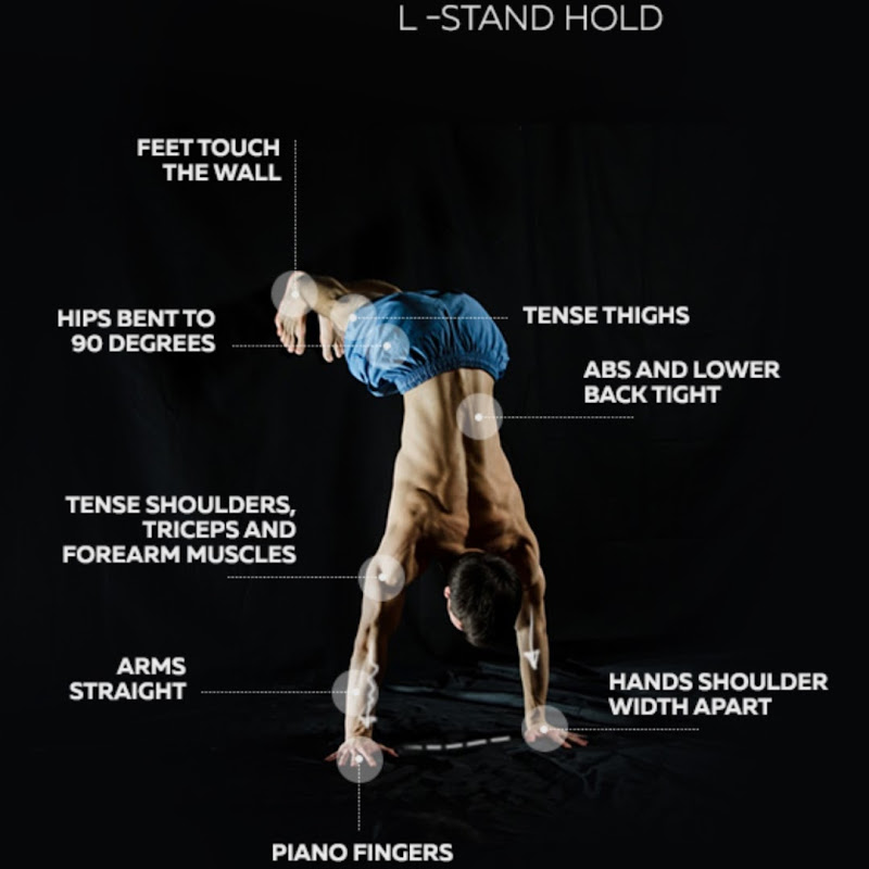 Best Calisthenics Program