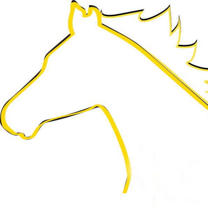 Yellow Horse Marketing