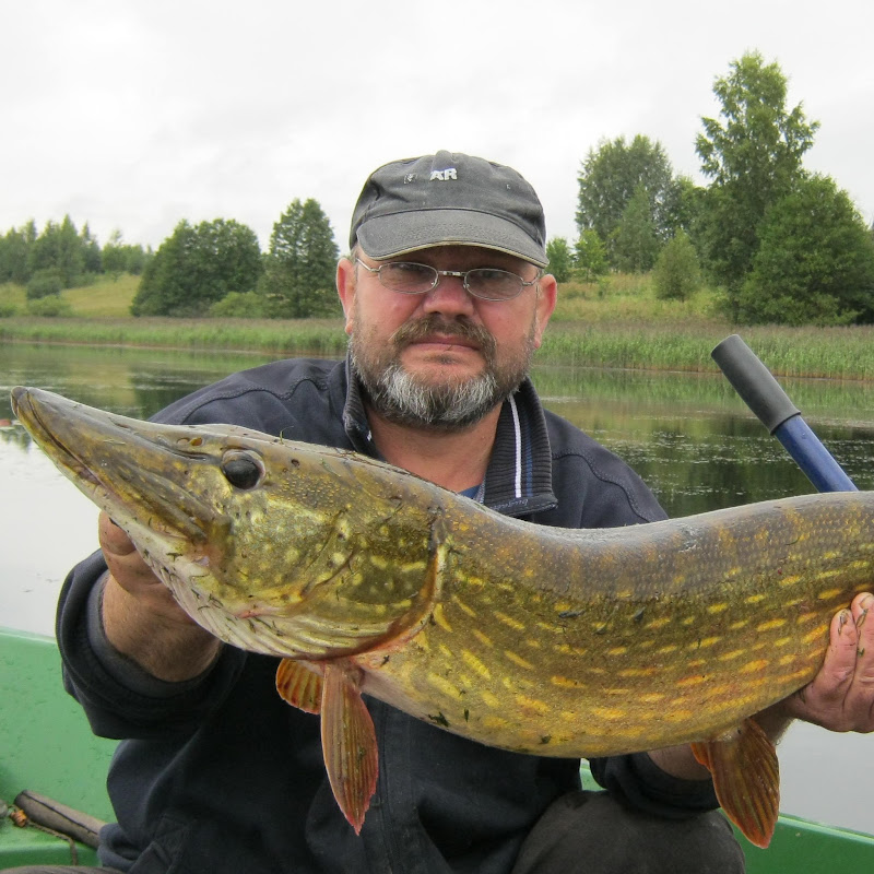 АЛЕКСАНДР МИЛЬКИН Logo