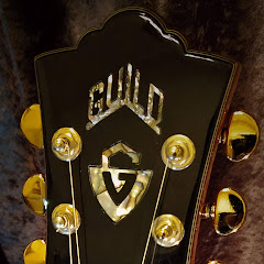 Guild Acoustics Blake