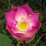 6WNvxIJ0oTE-channel-avatar-សីល សមាធិ - Sila Samadhi