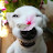 avatar of @piold7306