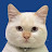 @sickboyoffc3639 Avatar
