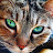 @zusurs's avatar
