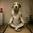 @meditatingdog