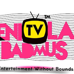 ENIOLA BADMUS TV net worth