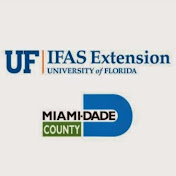 UF/IFAS Extension Miami-Dade