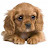 @ramziabdallacarlastewart8105 Avatar