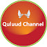qSF0TsOWS7Y-channel-avatar-QULUUD CHANNEL
