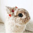 bkG_2o_fHrQ-channel-avatar-cutebunny97