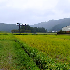 takeyabu 007