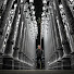 _1dtTDOTqUo-channel-avatar-Chewy