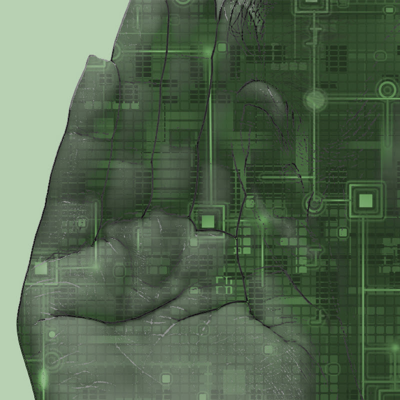 Hear the Reasons Logo