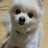 @sunghaejung6020