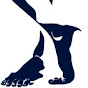 Northeast Foot and Ankle logo