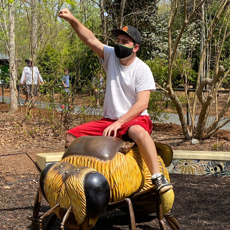 FranktimusPrime