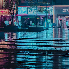 the night music