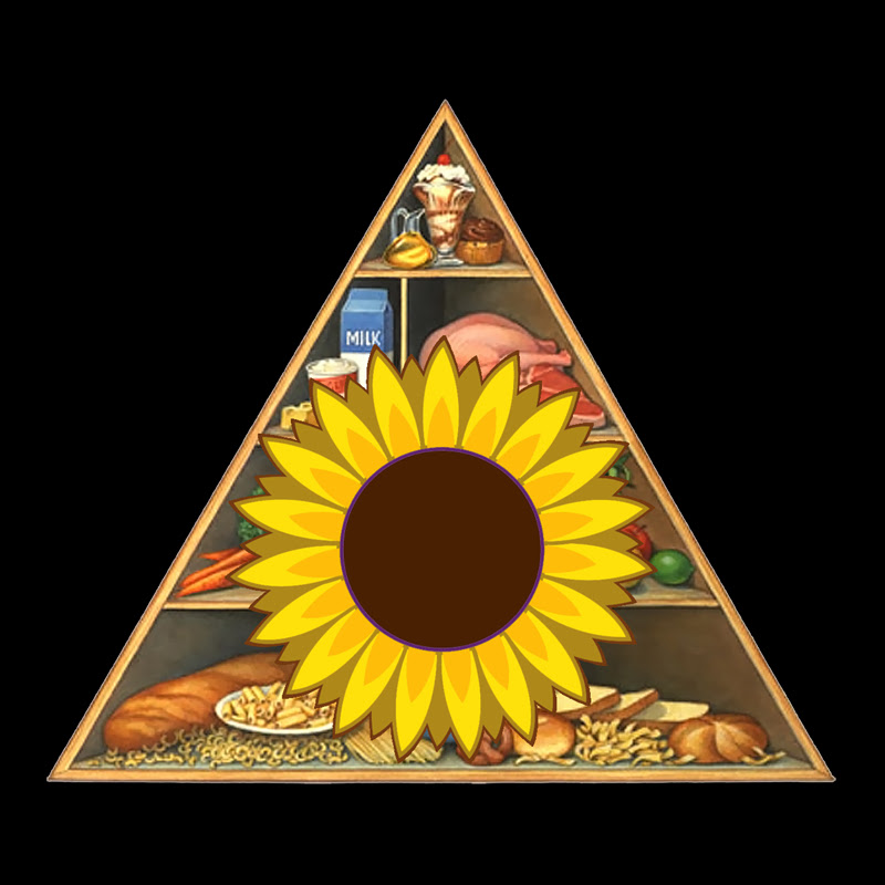 The Balanced Literacy Diet