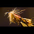 GvQEolFlV2c-channel-avatar-The Weekly Fly
