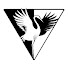 ryvKNgkL4WE-channel-avatar-ncaikikai