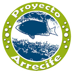 ProyectoArrecife