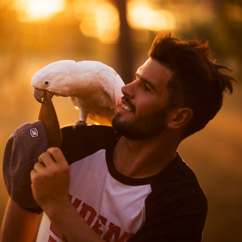 Antoni Villoni