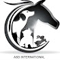 ASD INTERNATIONAL logo
