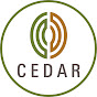 Cedar Consulting logo