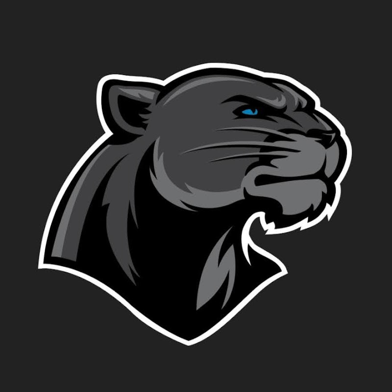 Panthers Gaming