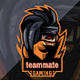 teammate gaming logo