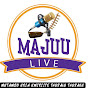 Majuuliveradiotv logo