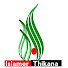 XY7p5cTbktY-channel-avatar-Islamer Thikana
