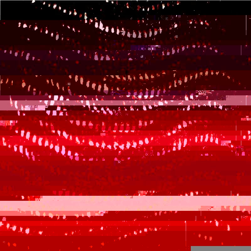 Red Hotel