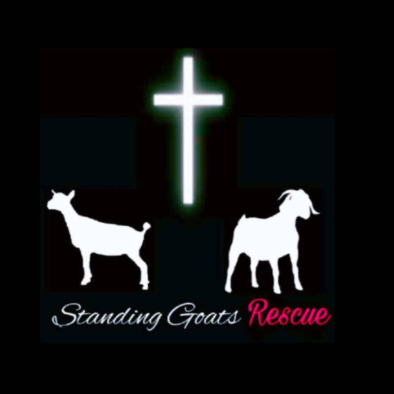 Standing Goats Rescue