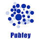 Publey logo