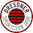 Dresdner SC 1898 Fußball