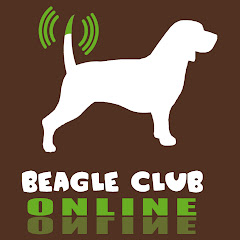 Beagle Club Online