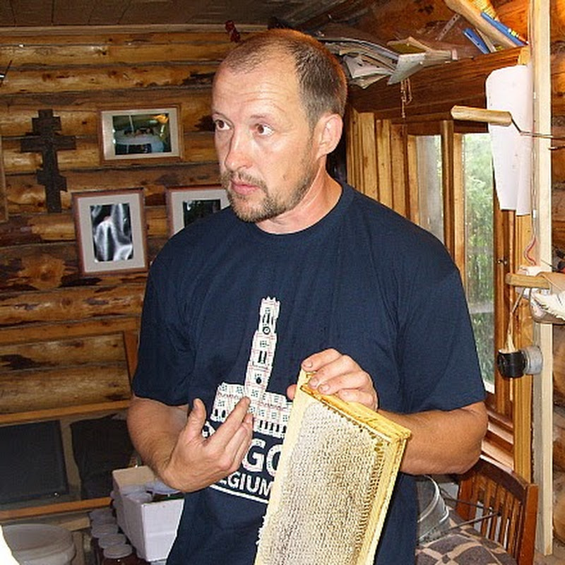 Михаил Лебедев