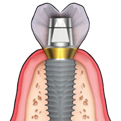 Dr VK's Dental Skool